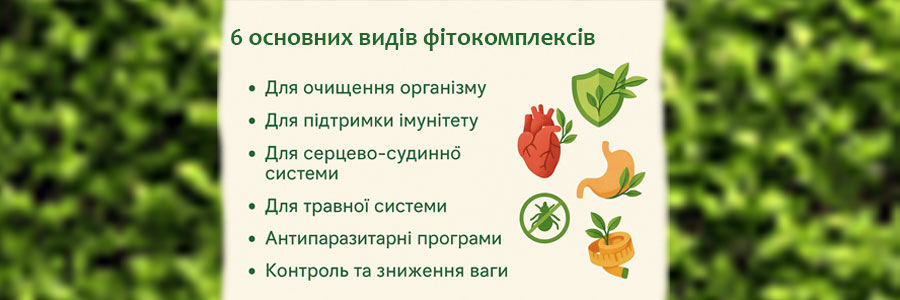 кращі фітокомплекси для серця і судин